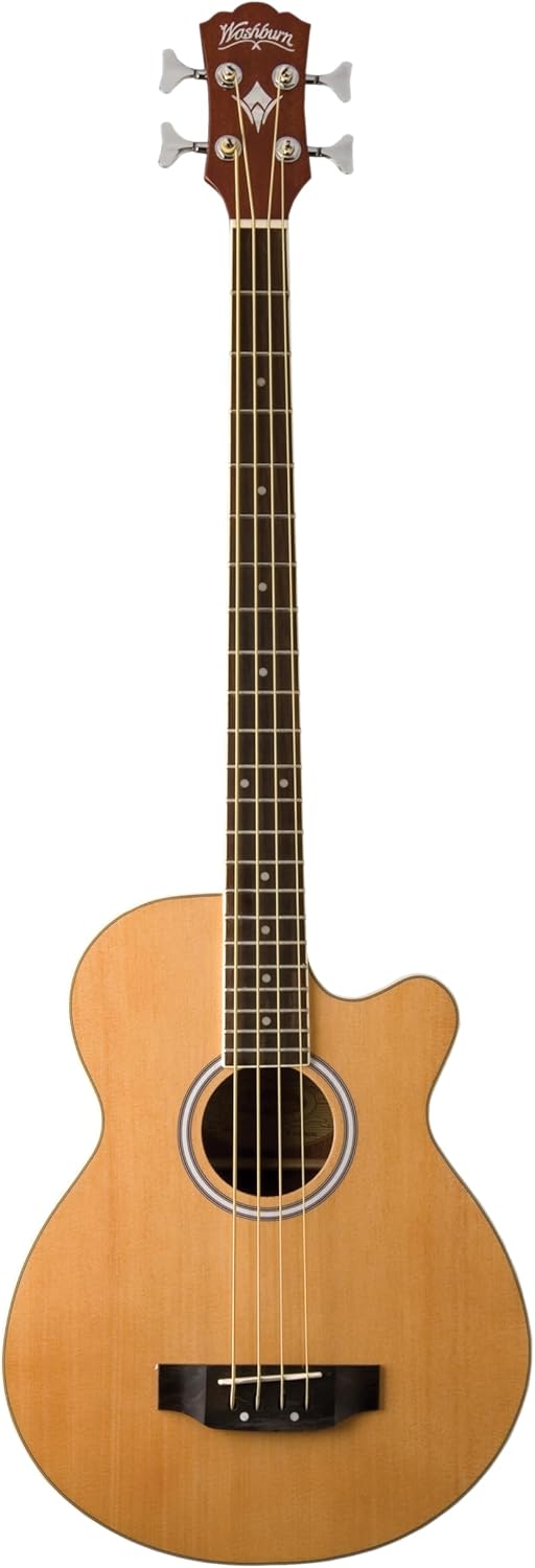 Washburn AB5K-A 5-String Acoustic Guitar
