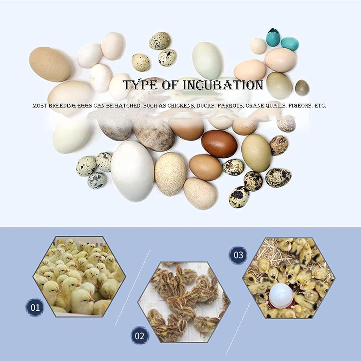 56 Eggs Digital Poultry Hatcher Machine,Fully Automatic Egg Incubator with Automatic Turning And Temperature And Humidity Control for Chicken Duck Bird Quail Goose Turkey