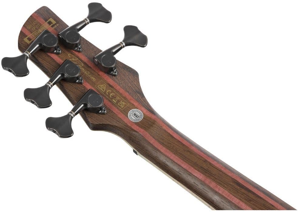 Ibanez SR Premium 5-string Electric Bass - Caribbean Green Low Gloss