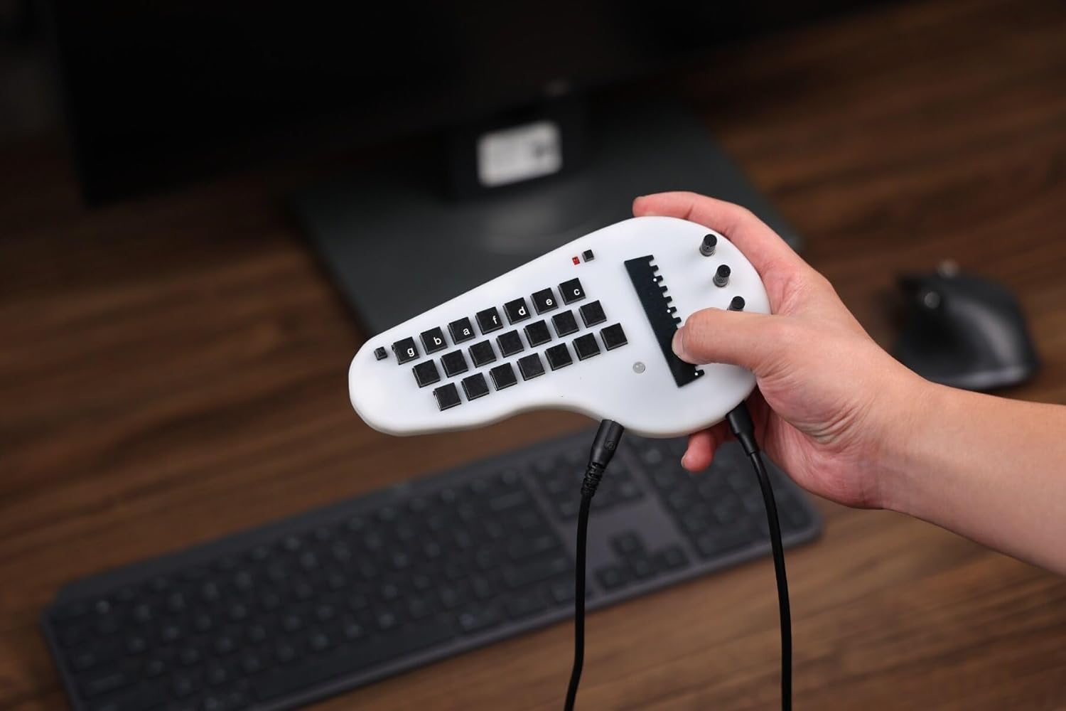 Minichord Synthesizer