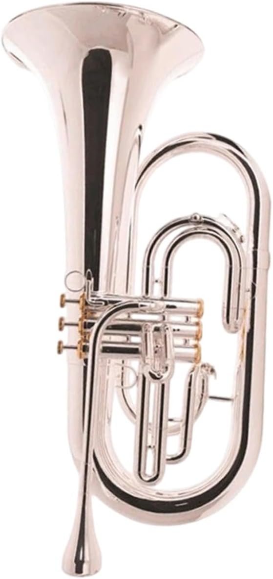 Euphonium Is A Suitable Instrument For Beginners Adults And Professionals To Practice Playing Euphonium All-brass Instrument