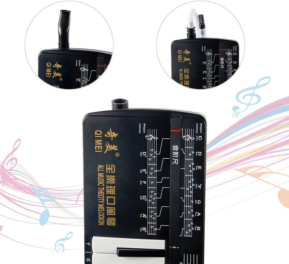 All Music Theoty Melodion 37 keyboard Professional Melodica Harmonica Playing Musical Instruments