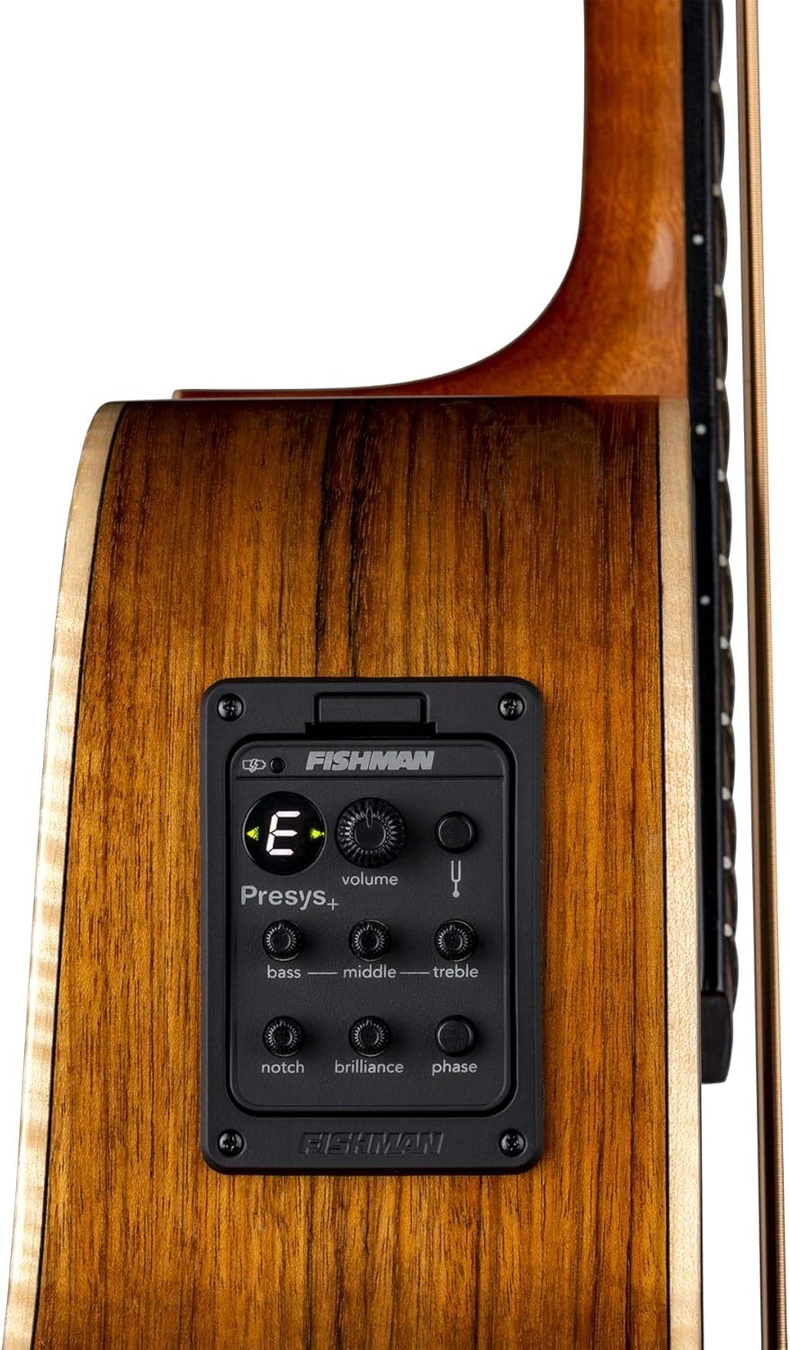 Luna Guitars Vista Bear 4 String Acoustic/Electric Bass with Case, Right (VISTABEARBASS)