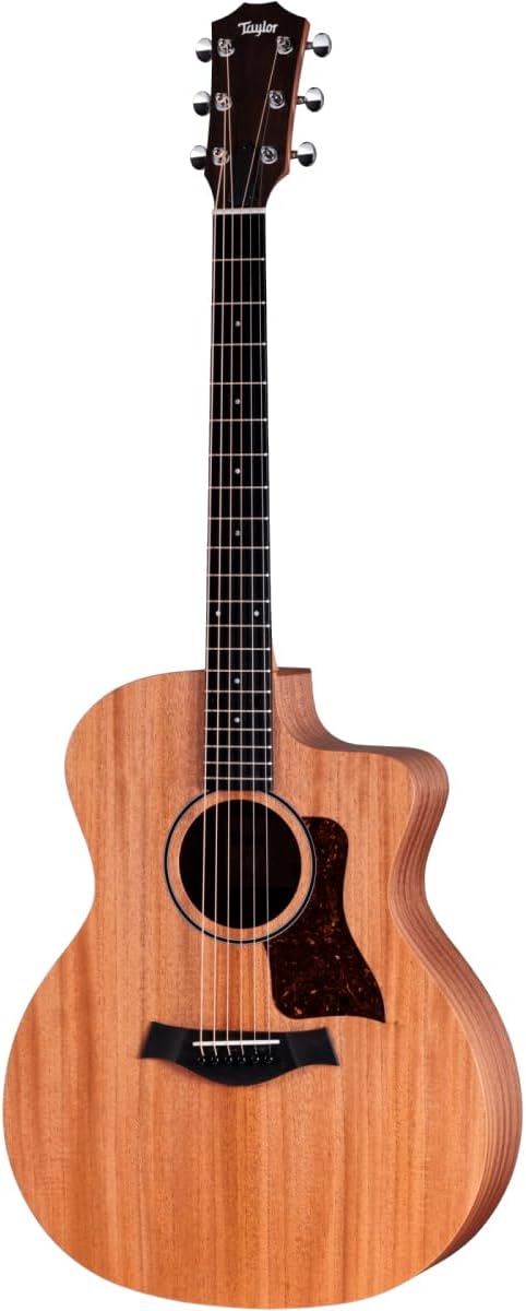 Taylor 24ce Neo-Tropical Mahogany/African Sapele Natural w/Fishman Sonitone GT-2