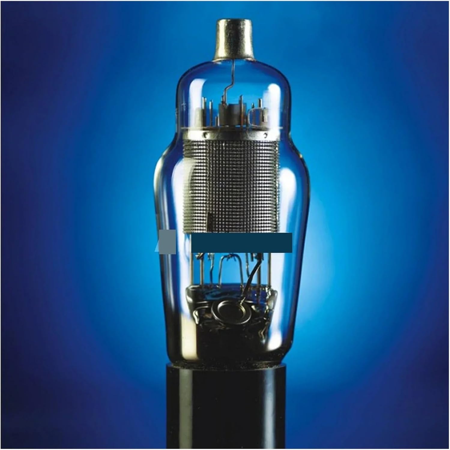 WE310A Vacuum Tube HiFi Amplifier DIY Audio Kit(4 PCS)