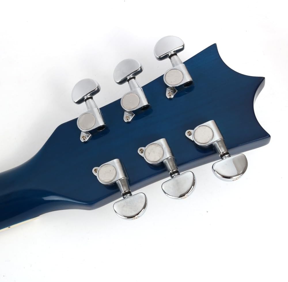 Fojill FSG-60 Electric Guitar Canadian Maple Neck Rosewood Fretboard Mahogany Body Stainless Frets(FSG-60BLR)