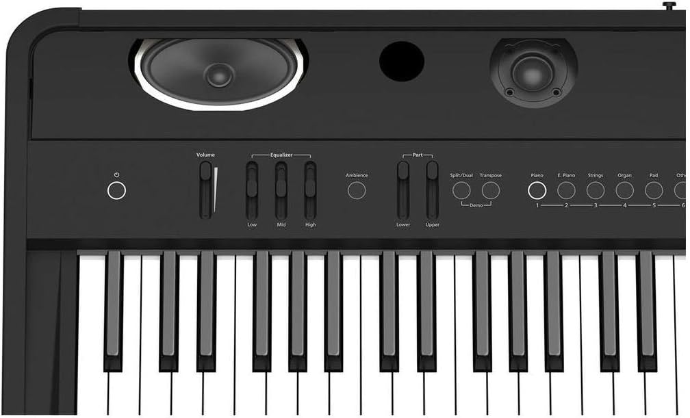 Roland FP-90 88-key Premium Portable Digital Piano with Bluetooth MIDI/Audio, Hammer-Action Keyboard with Hybrid Wood Keys and Multi-channel Speaker System