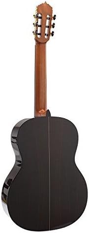 Antonio Giuliani Classical Rosewood Guitar Outfit (CL-6) - Acoustic Guitar with Case and Accessories By Kennedy Violins