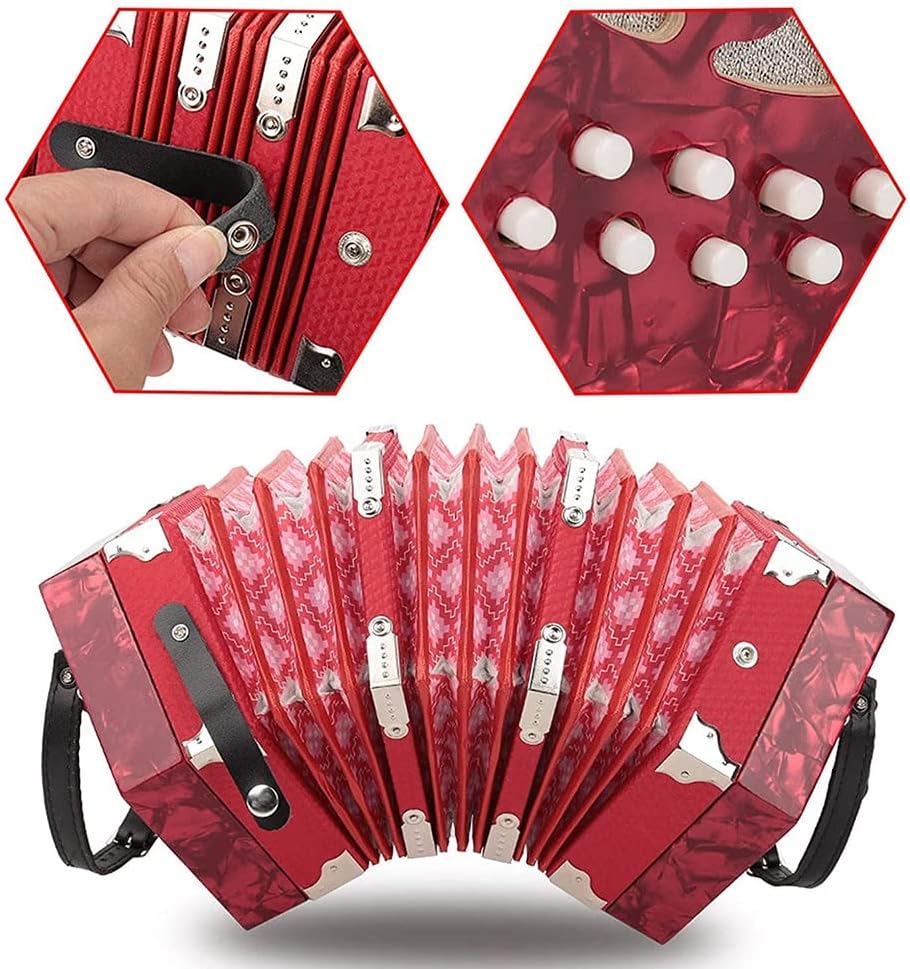 Accordion Concertina with 20 Keys, Music Accordion Instrument, Educational Musical Instrument, with Carry Bag, for Amateur Beginner