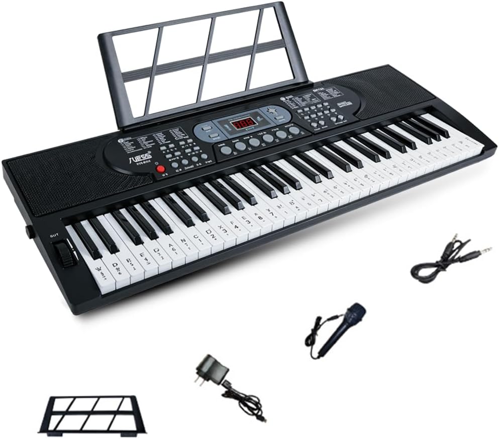 61 Key Keyboard Piano with Lighted Up Compact Keyboard Beginners to Pros, Portable Digital Music Keyboard with Microphone & Built-In Speakers