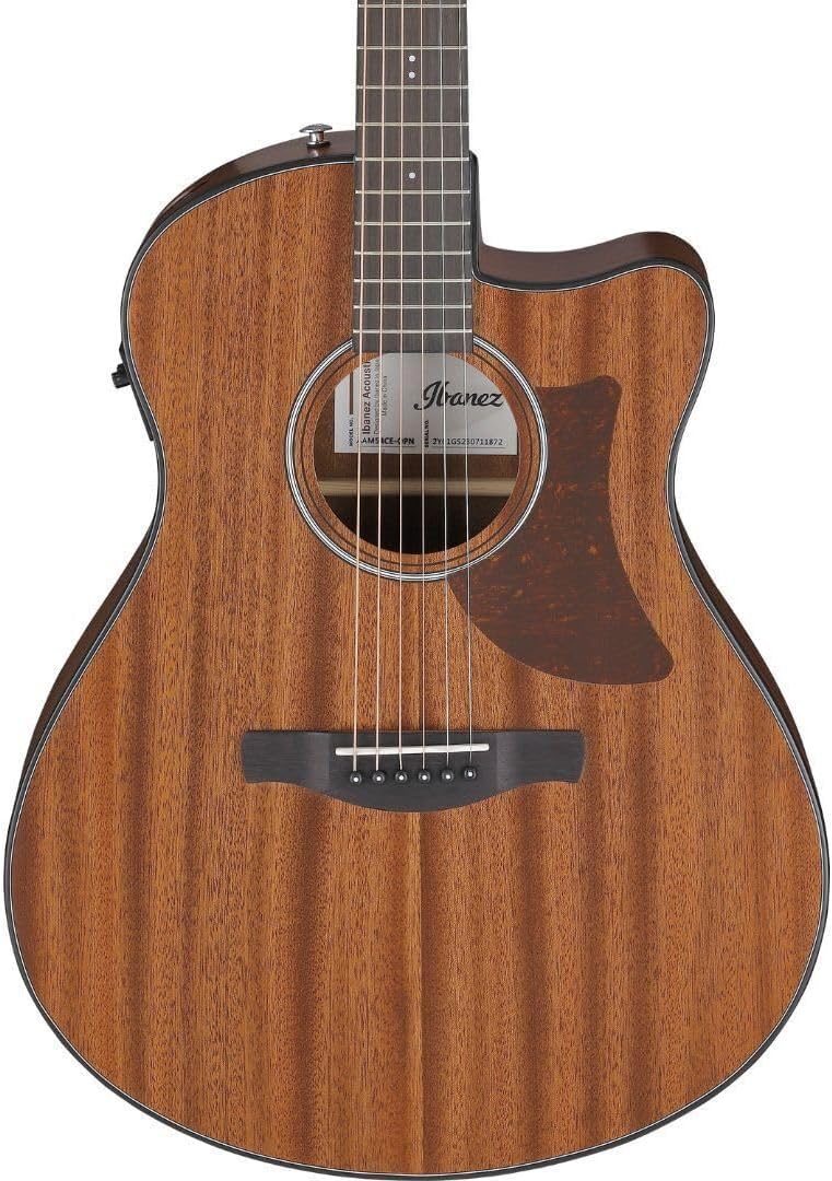 Ibanez AAM54CEOPN Advanced Acoustic Auditorium Acoustic-electric Guitar - Natural