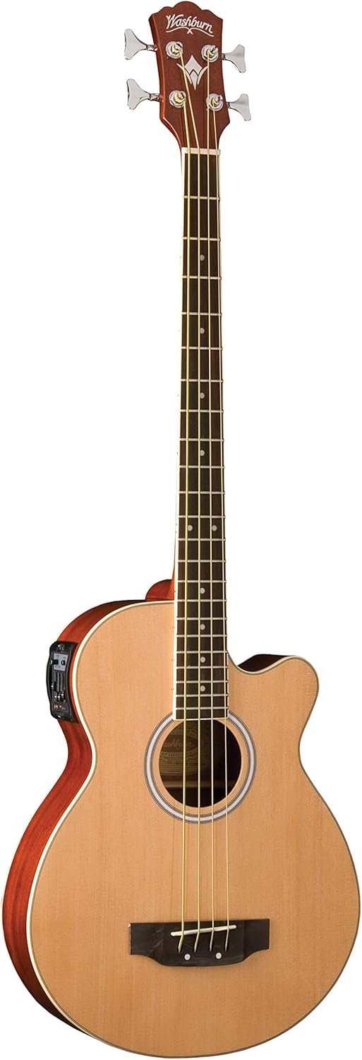Washburn AB5K-A 5-String Acoustic Guitar