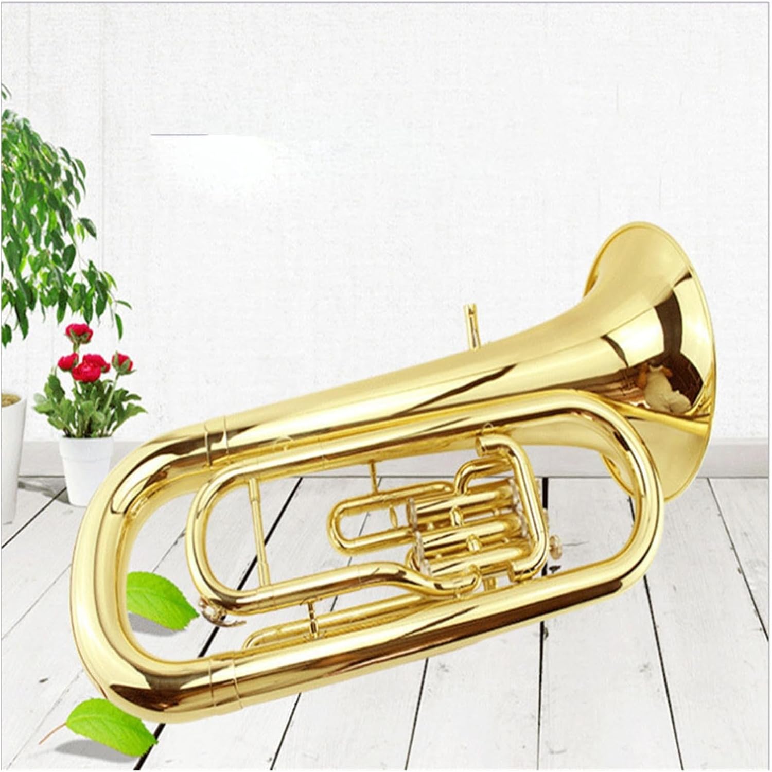 Euphonium in B flat 3 key Beginner Playing Instrument