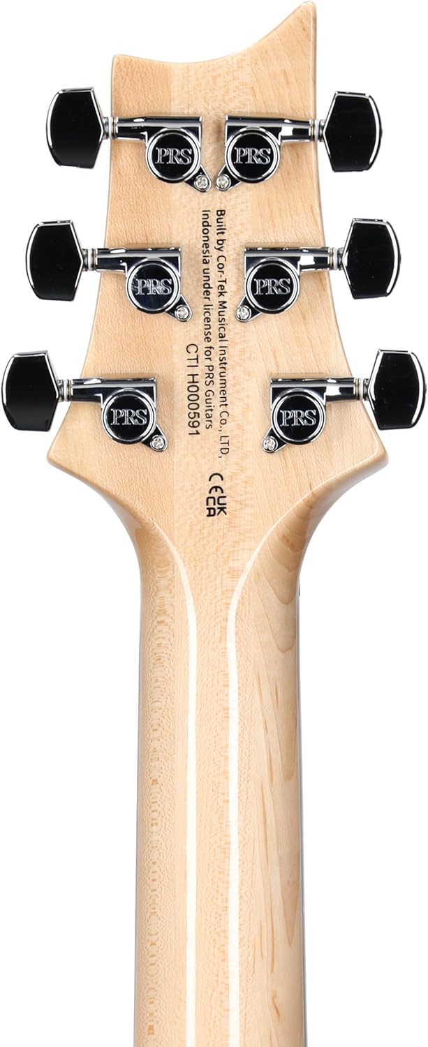 PRS SE Custom 24 Exclusive, Blue Matteo Natural Back