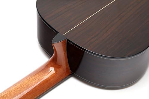 Antonio Giuliani Classical Rosewood Guitar Outfit (CL-6) - Acoustic Guitar with Case and Accessories By Kennedy Violins