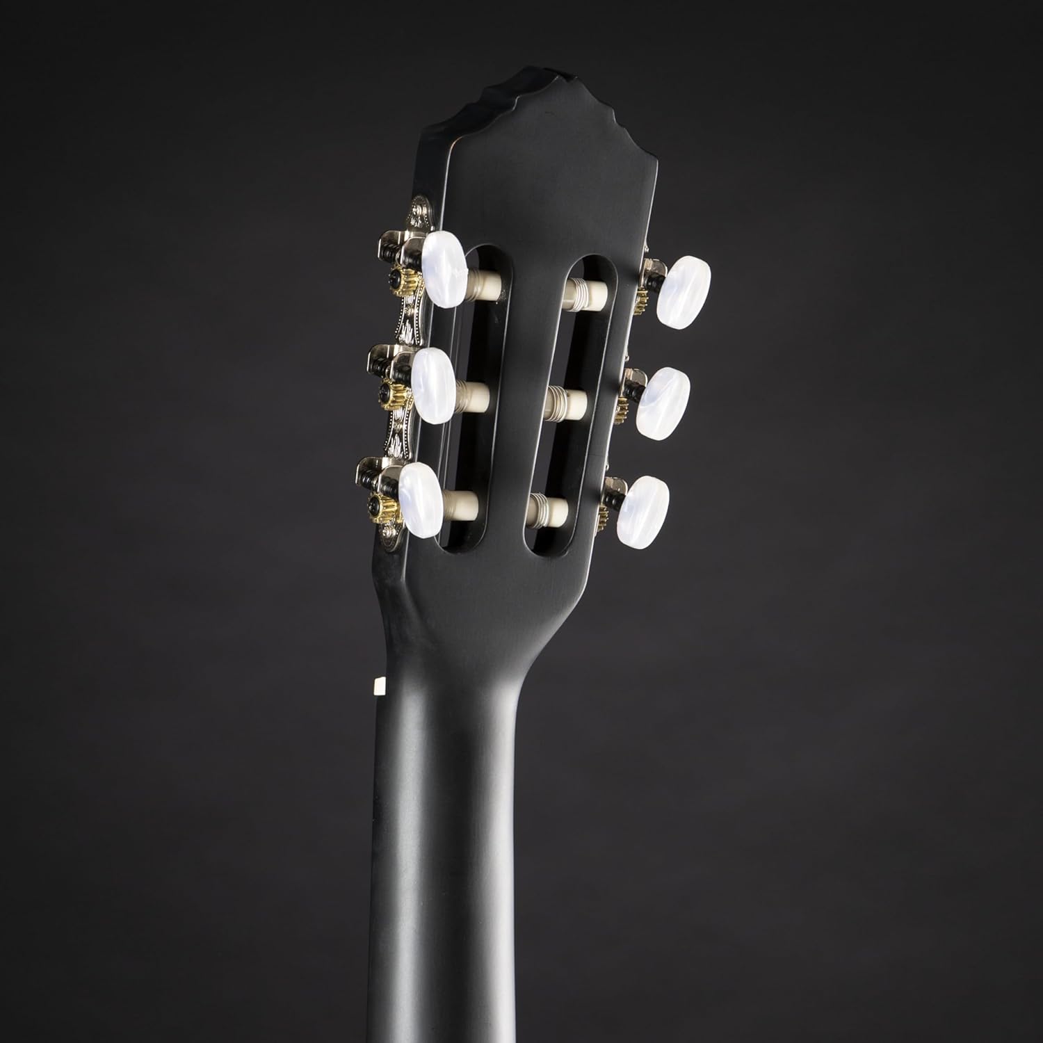 RCE125SN-SBK Family Series Thinline Acoustic Electric Nylon Classical 6-String Guitar w/Free Bag