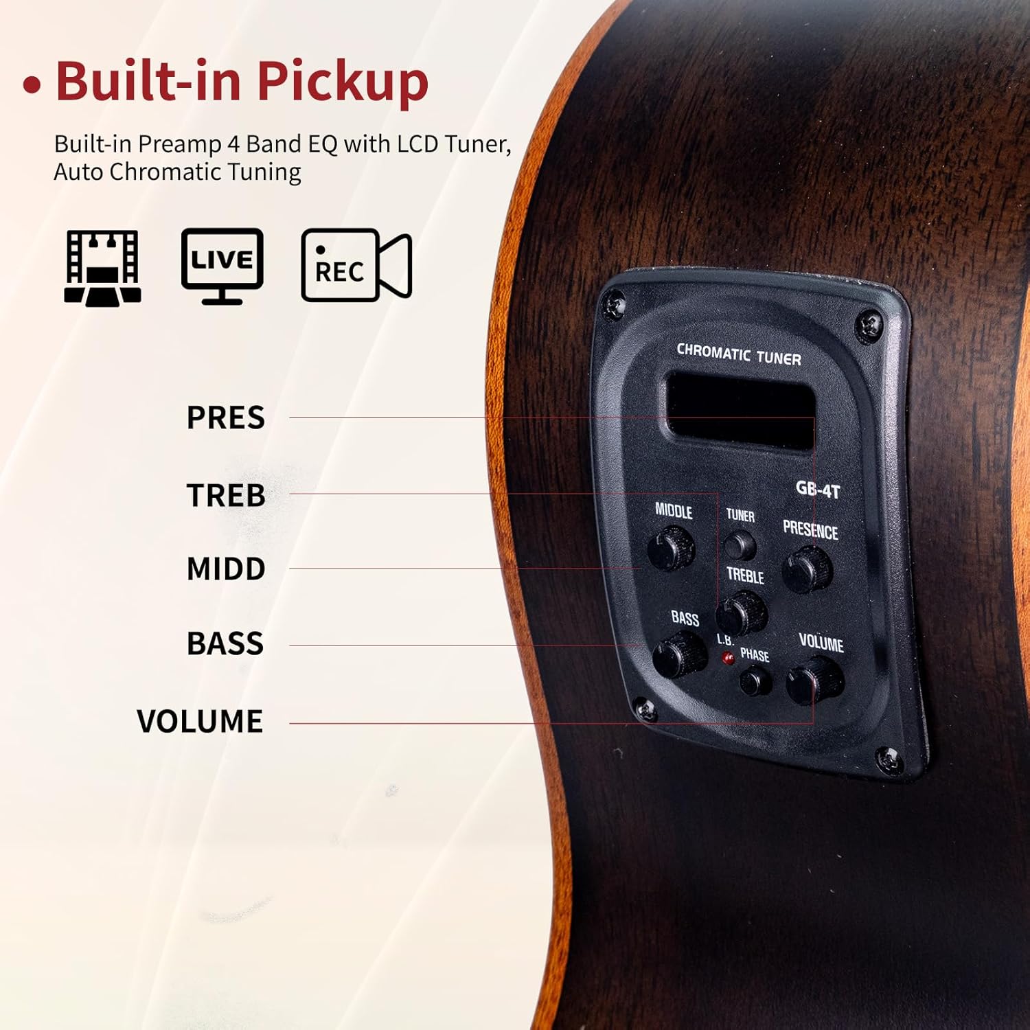 WISHMADE Acoustic Bass Guitar with F-Holes | 5 String Bass Guitar for beginners adults, Flamed Maple Top With Gig Bag-BK