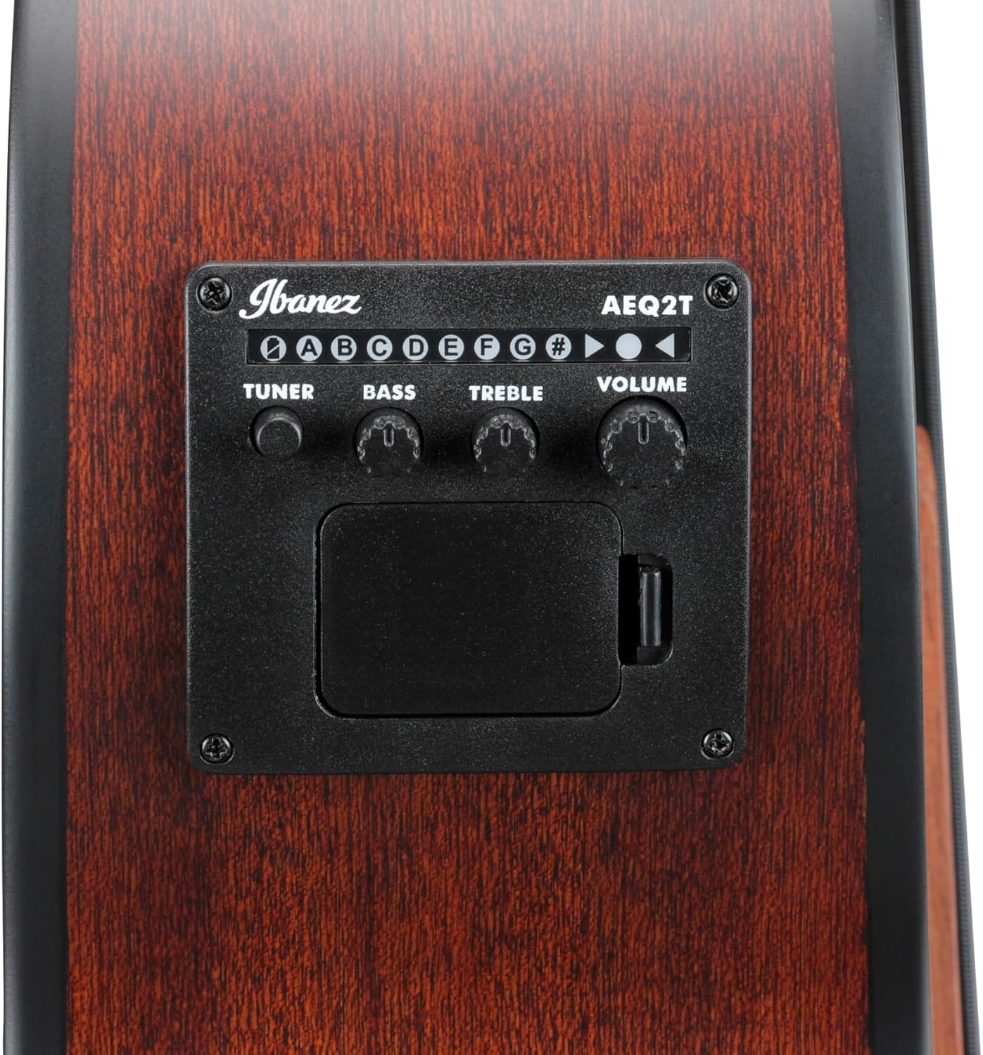 Ibanez AEGB30ENTG Acoustic-electric Bass - Natural