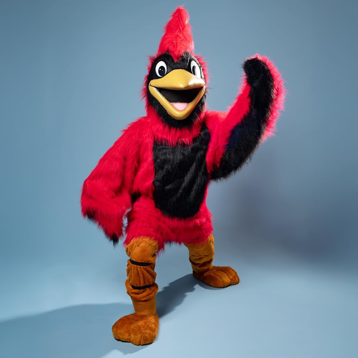 TCDesignerProducts Friendly Red Cardinal Mascot Costume, School Spirit Sports Fan Gear, Football Cheerleader Accessories, Homecoming