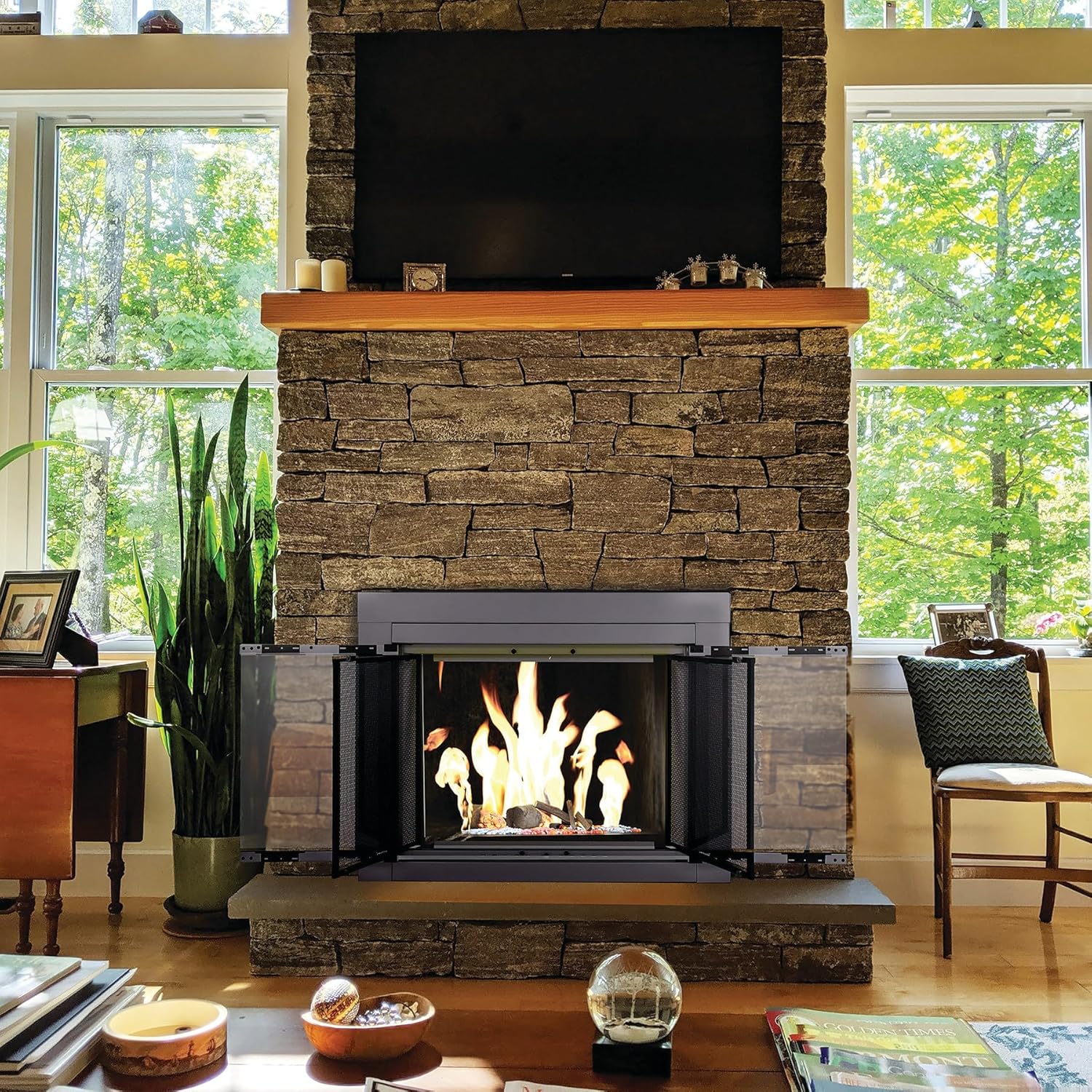 Pleasant Hearth Alpine Collection Fireplace Glass Door