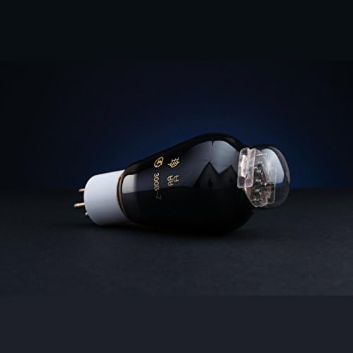 Treasure 300B-Z Vacuum Tube Matched Pair (2pcs) - Silver - Glass - Instrument Amplifier Tubes - Vacuum Tube - Physical Items