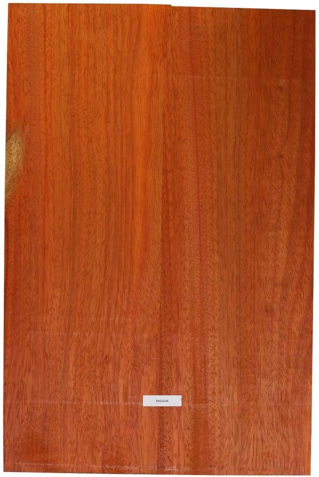 Exotic Wood Zone | African Padauk Semi Explorer Electric/Bass Musical Guitar Luthier Tonewood Body Blanks | 24