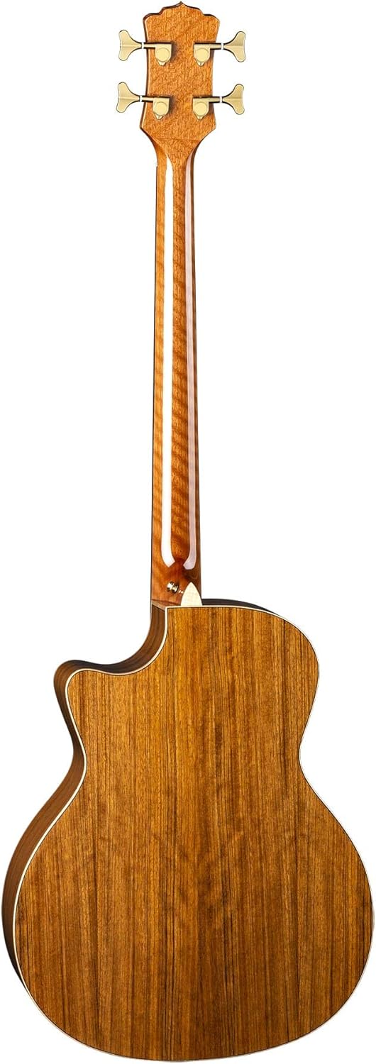 Luna Guitars Vista Bear 4 String Acoustic/Electric Bass with Case, Right (VISTABEARBASS)