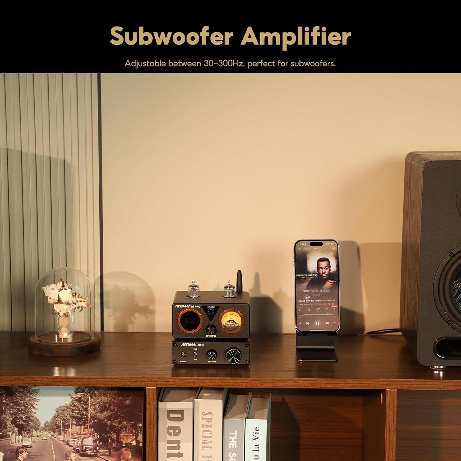 AIYIMA A3001 Mini Mono Amp 300W Subwoofer Amplifier TPA3255 Class D Amp with Full-Frequency & Sub Bass Home Audio Speaker amp+ DC36V 6A Power Adapter