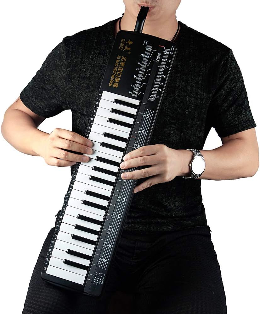 All Music Theoty Melodion 37 keyboard Professional Melodica Harmonica Playing Musical Instruments