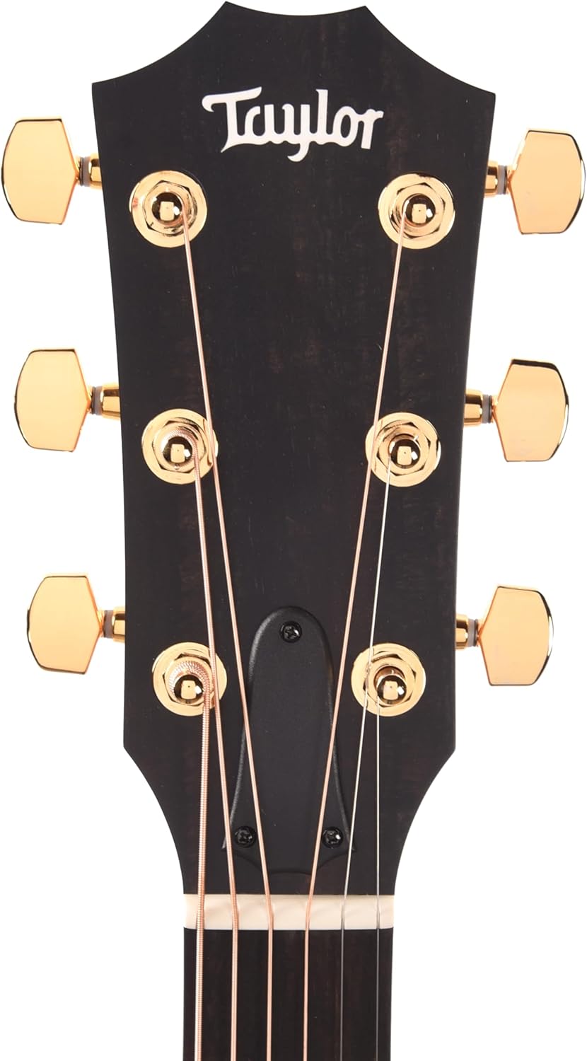 Taylor 222ce-K DLX