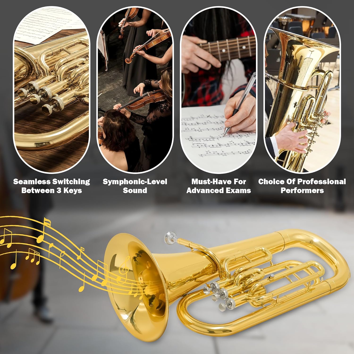 Bb Brass Euphonium - Professional & Intermediate 3 Valve Bb Key Instrument - Gold Lacquer Finish with Stainless Steel Pistons - Includes Hard Case, Mouthpiece, Gloves, Polishing Cloth