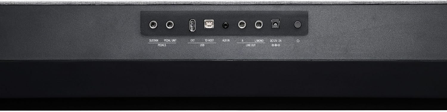 Kurzweil KaP1-88-Key Fully-Weighted Hammer Action Portable Digital Piano with 28 Flagship Voices + Power Supply + Sustain Pedal + ST-C1 Chrome Stand (Black)