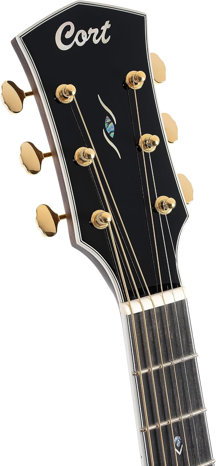 Cort 6 String Acoustic Guitar, Right, Light Burst, Full (GOLDD8LB-U)