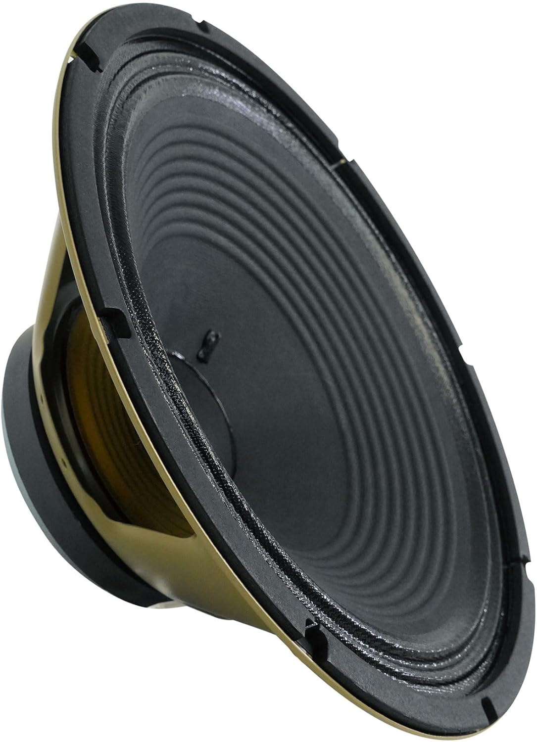 Audiosavings Bundle: (2) Celestion V-Type 12