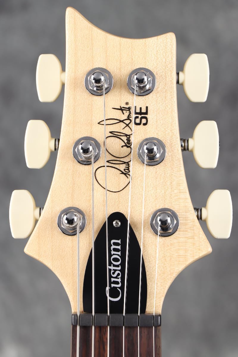 PRS SE Custom 24, Slate Blue with Gigbag