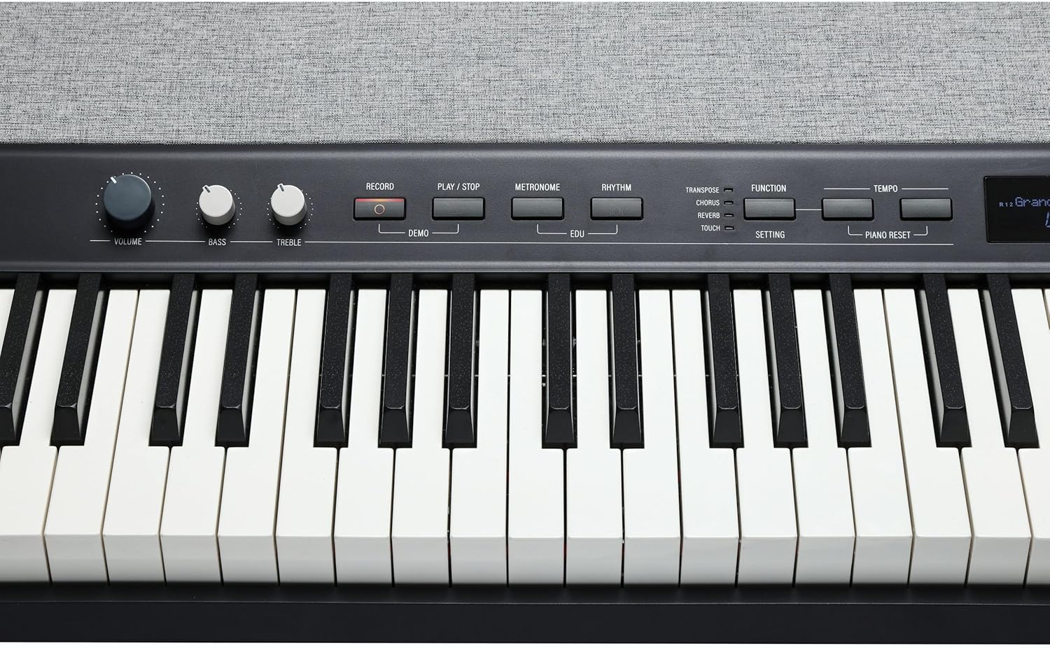 Kurzweil KaP1-88-Key Fully-Weighted Hammer Action Portable Digital Piano with 28 Flagship Voices + Power Supply + Sustain Pedal + ST-C1 Chrome Stand (Black)