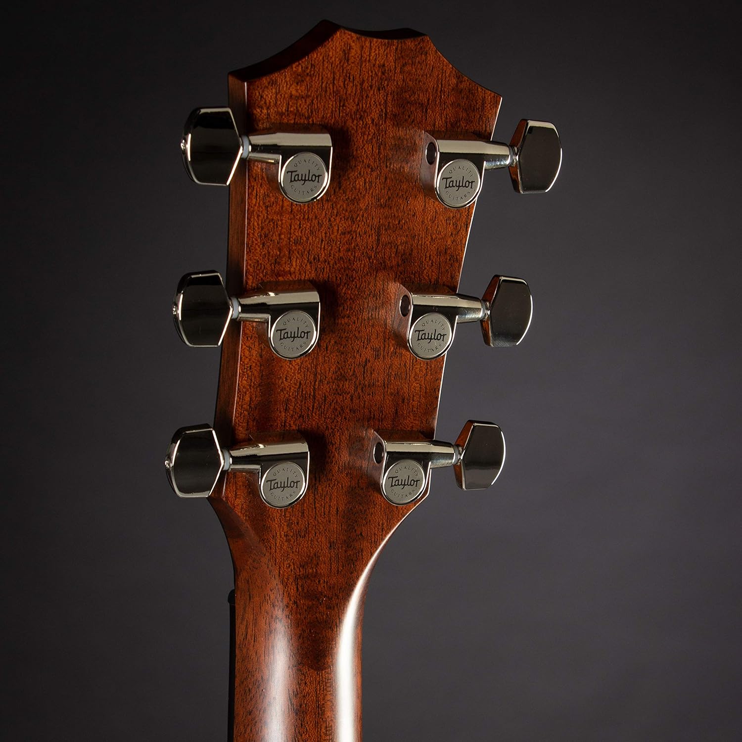 Taylor 517e Builders Edition WHB