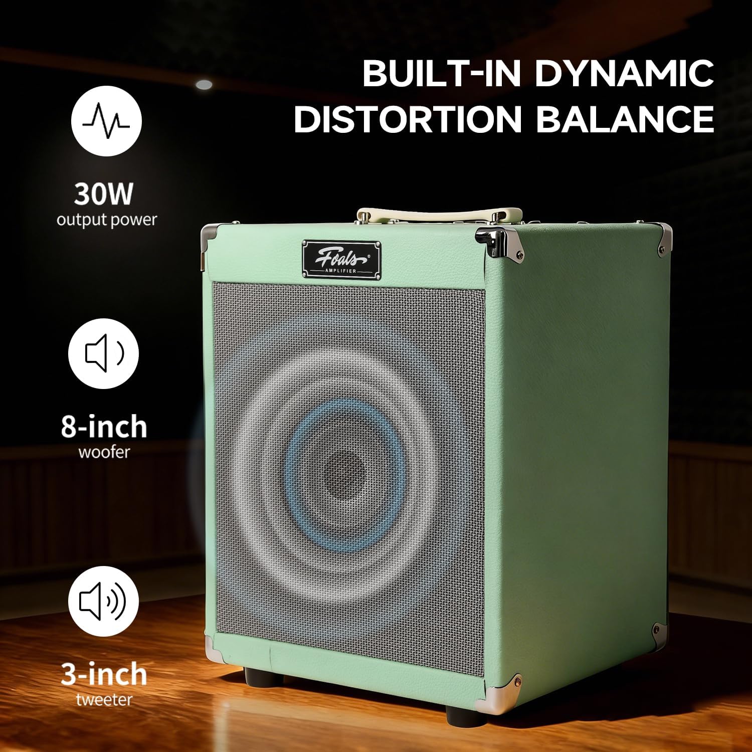 FOALS FK30 30W Electric Bass Amp – 8