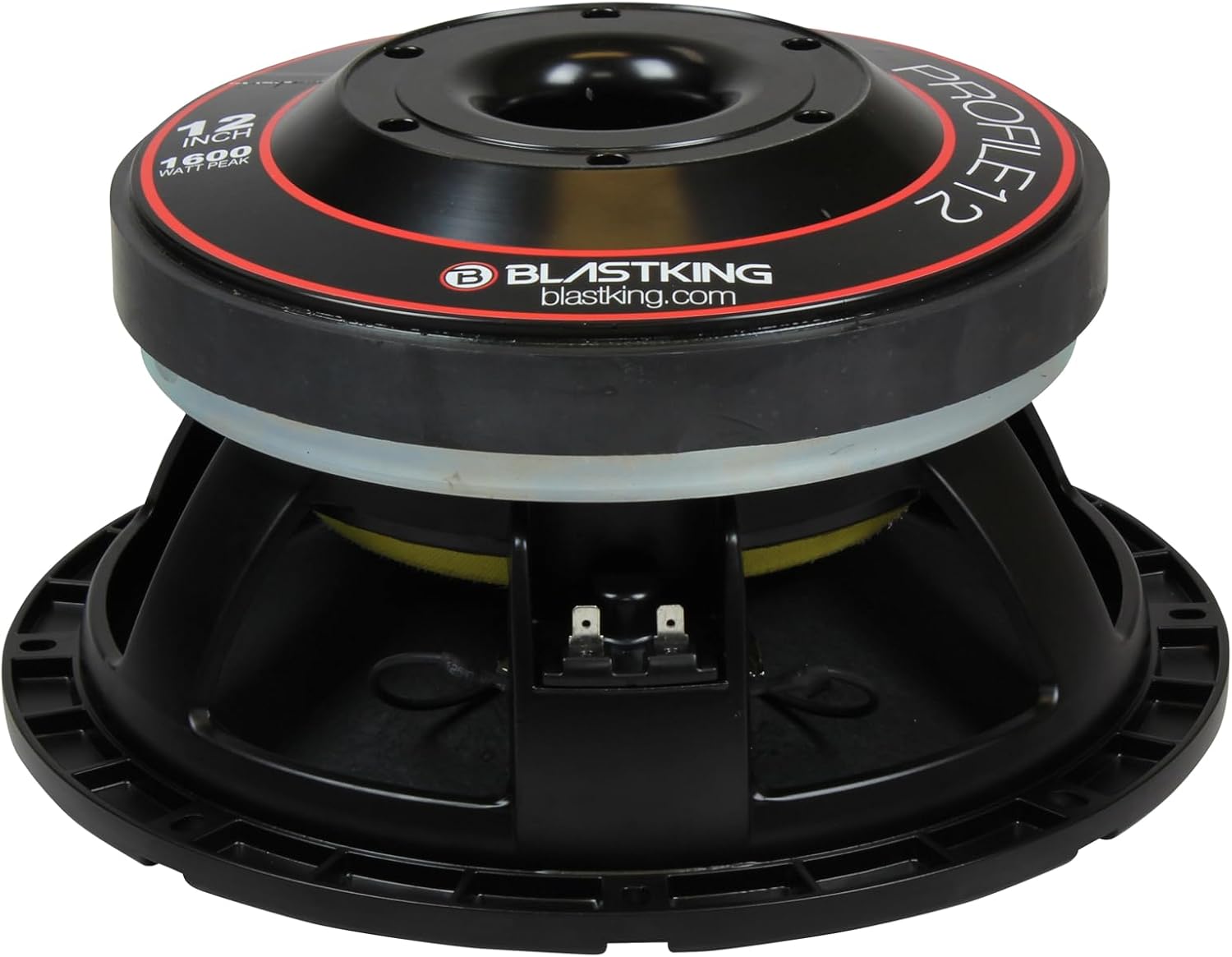 Blastking PROFILE12 12