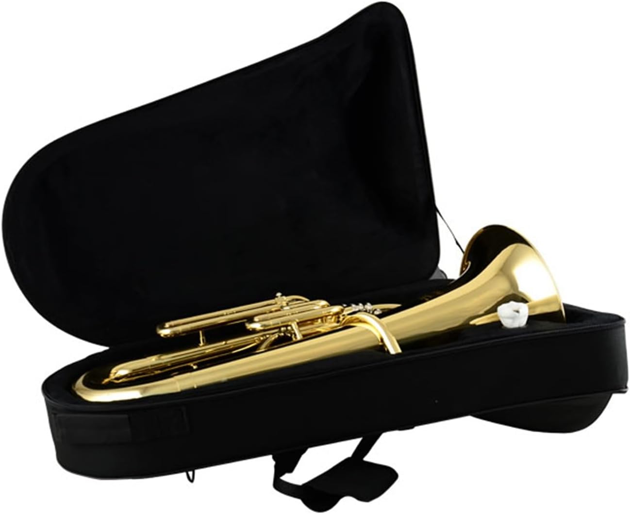 Euphonium professional instrument in B flat
