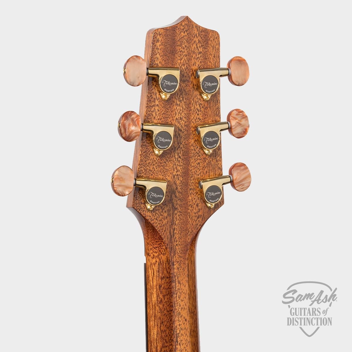 TSF40C NEX Santa Fe Series Acoustic-Electric Guitar Cutaway Natural # 62020298