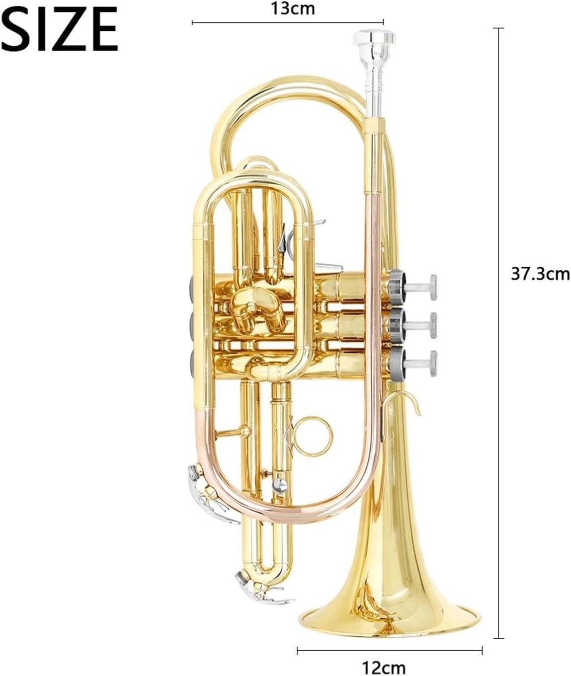 Professional B flat cornet brass instrument