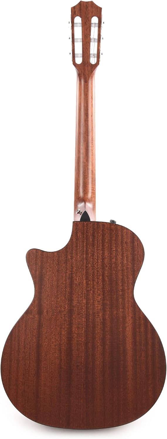 Taylor 314ce-N - Sapele Back and Sides