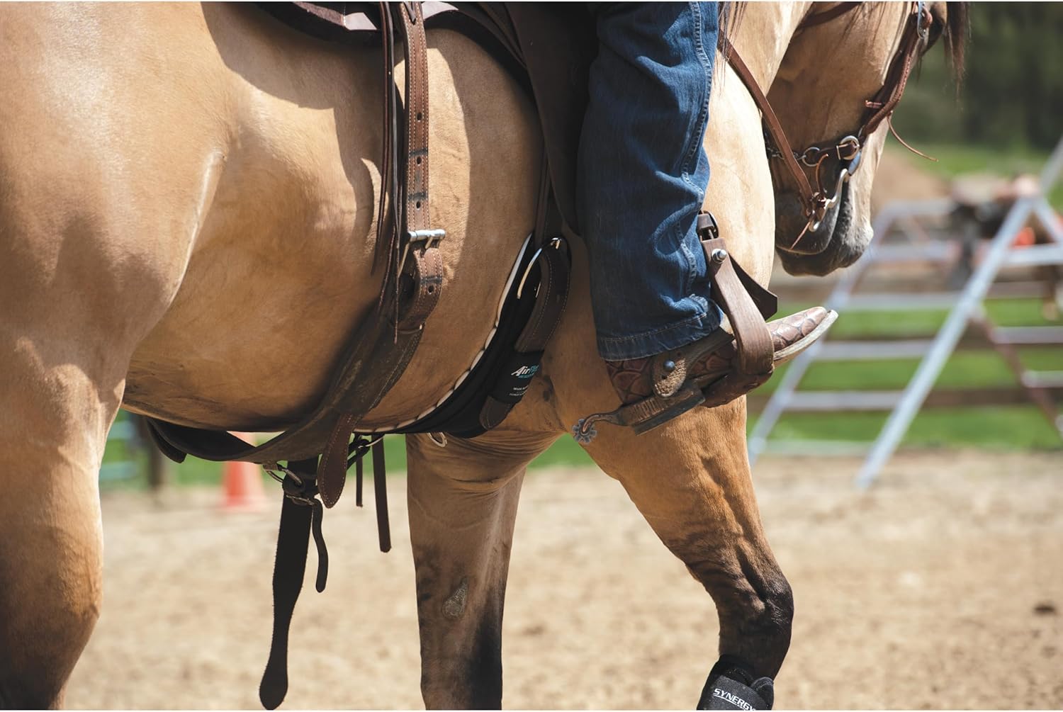 Airflex ‎Roper Horse Cinch, Anti-Slip Nylon Webbing Saddle Cinch Girth with Flat Buckle, Western Horse Riding Supplies, ‎Black