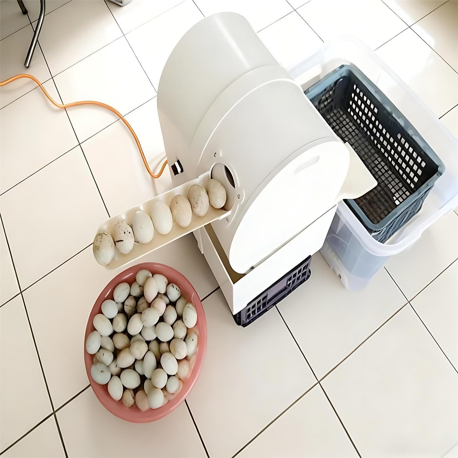 Automatic Egg Washing Machine for Fresh Eggs - 2300 Pcs/H Electric Egg Washer Machine with Roller Brush, Compact Egg Cleaning Brush Machine Tool for Chicken Duck Goose Egg Egg Cleaner
