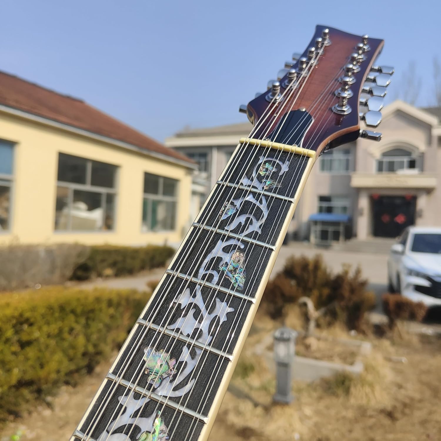 Electric Guitar, Semi-Hollow Body, Flamed Maple Top，12-string