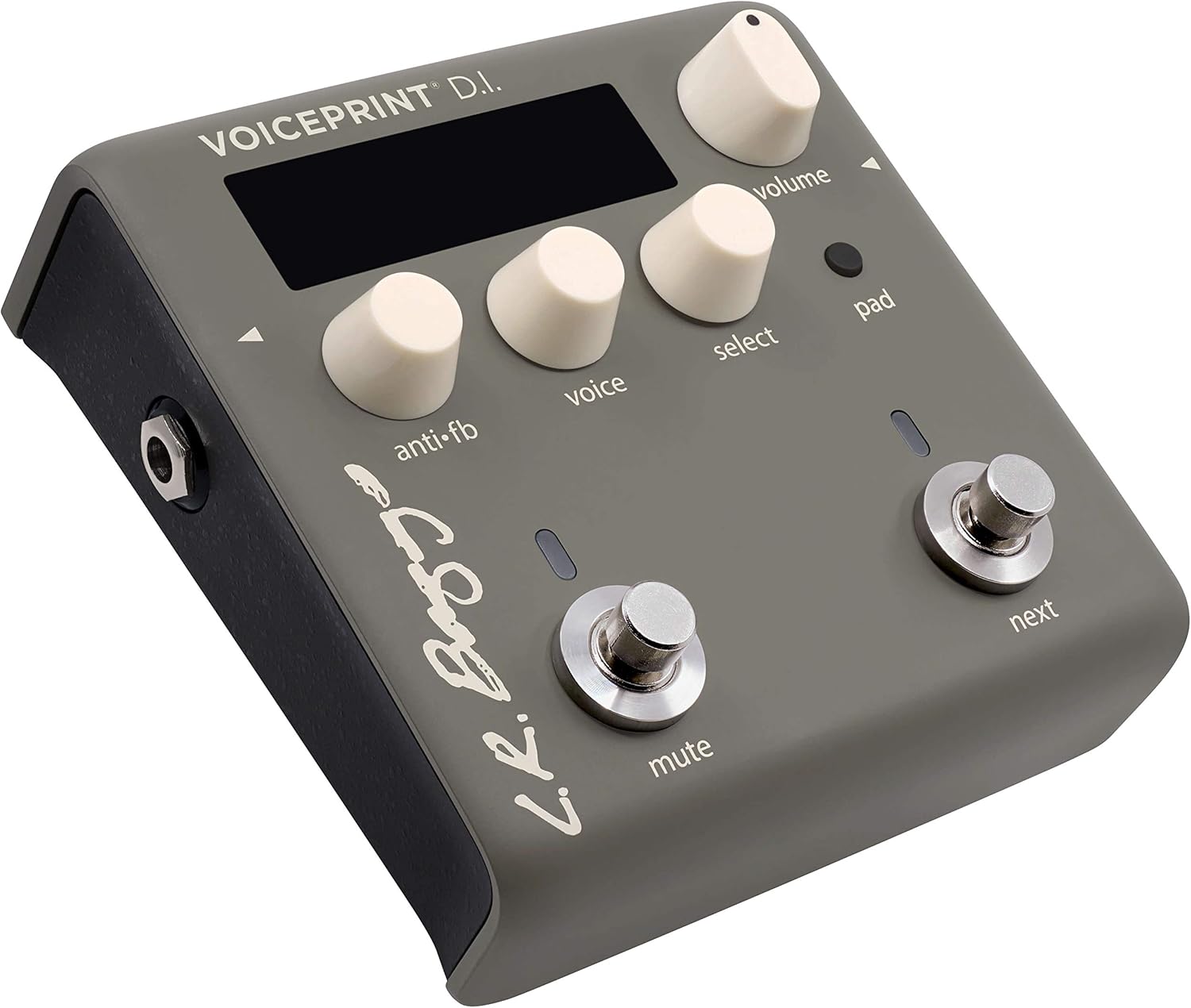 L.R. Baggs Voiceprint DI Acoustic Guitar Impulse Response Effects Pedal