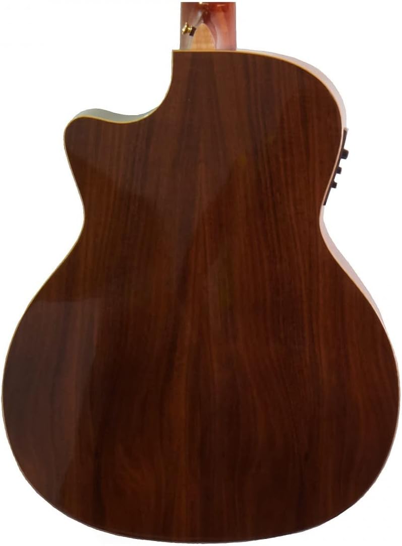 Luna Vista Eagle 12-String Cutaway Acoustic Electric Guitar with Case