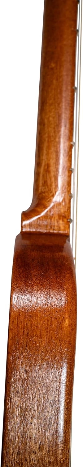 Boondocker D2 Electric/Acoustic Appalachian Dulcimer Guitar with Sapele Body & Top