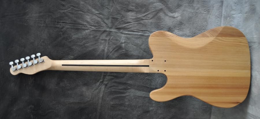 RSW DIY Electric Guitar Kit, Elm Body, Maple Neck, 6 Strings, Right-Handed, 25.5 Inch Scale Length